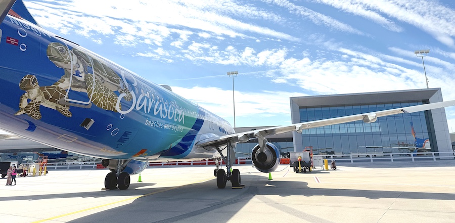 new sea turtle plane at srq airport for spring breakers