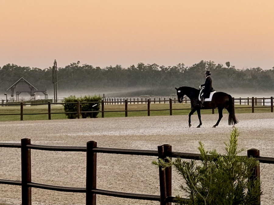 equestrian rider at sunset at terranova