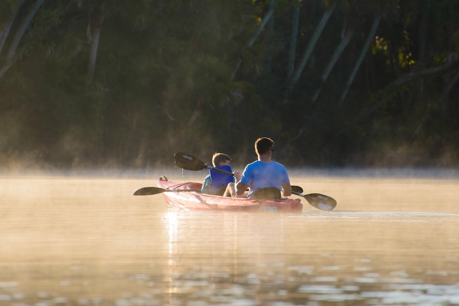 kayaking phillipi creek in sarasota fl