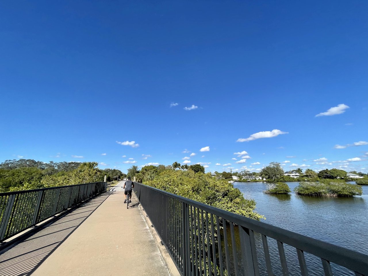 guy riding the legacy trail in sarasota