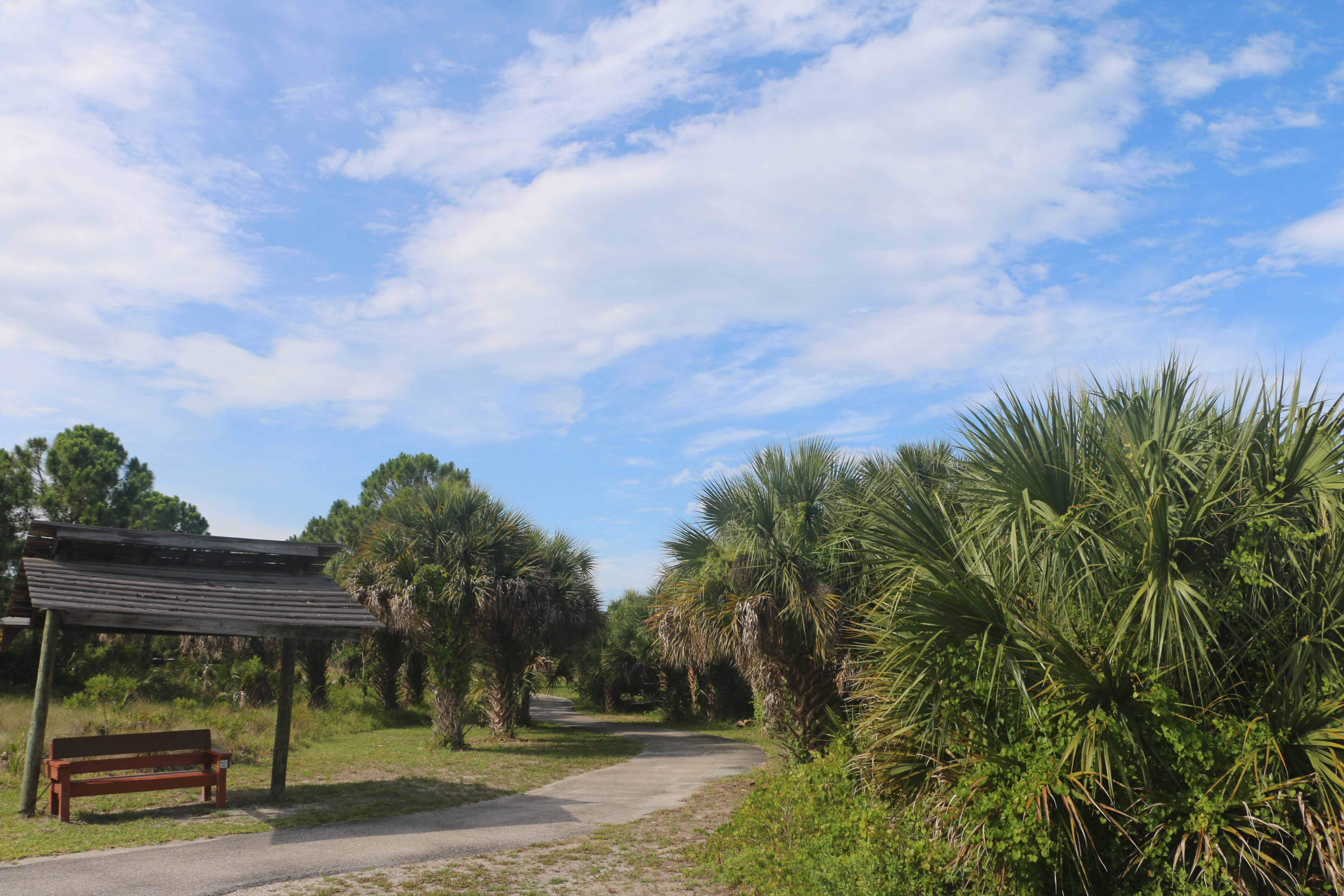 lemonbayparkpreserve