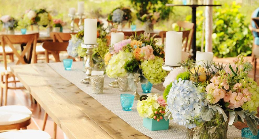 Mattison's Catering services in sarasota fl