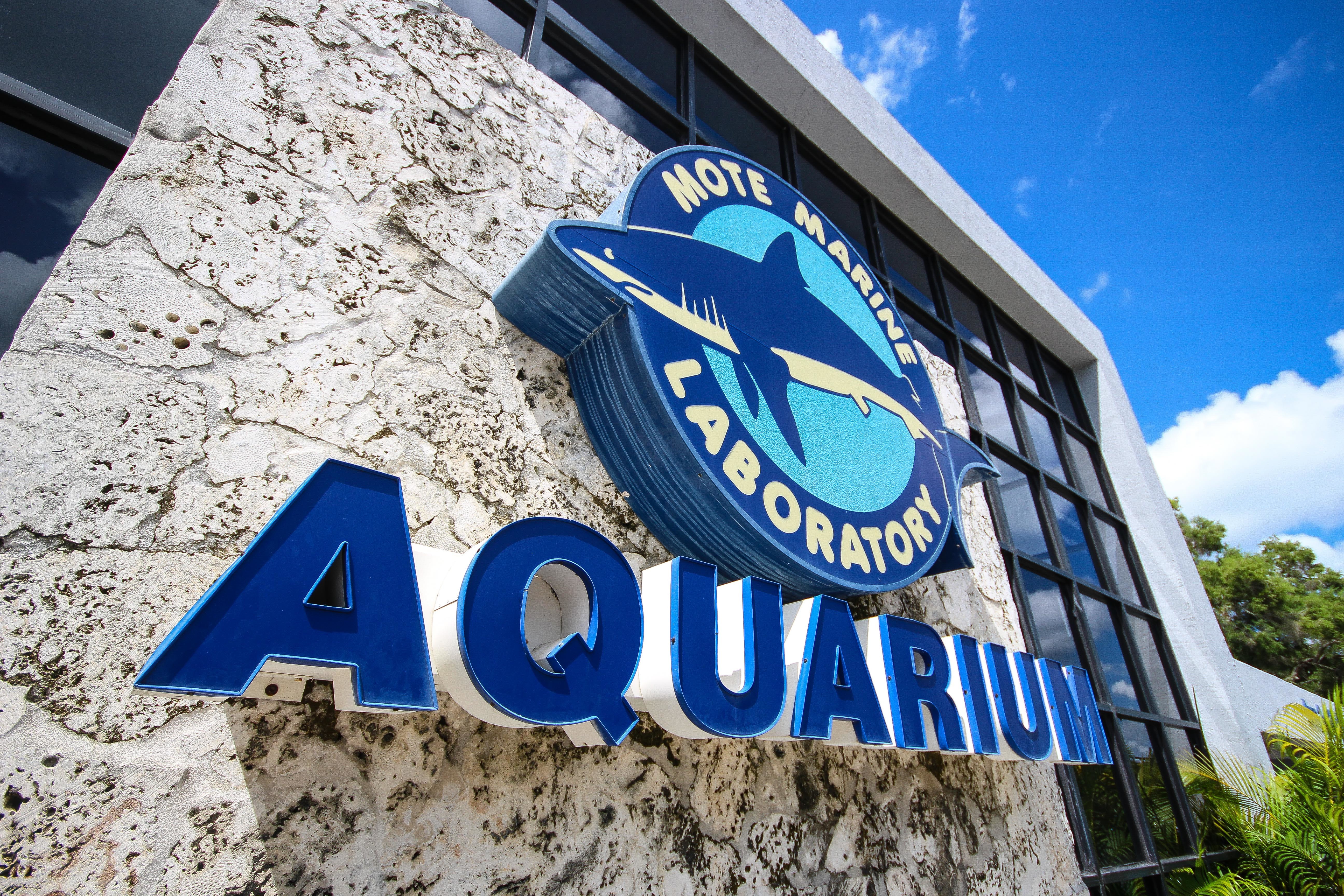 mote marine entrance for shark exhibit