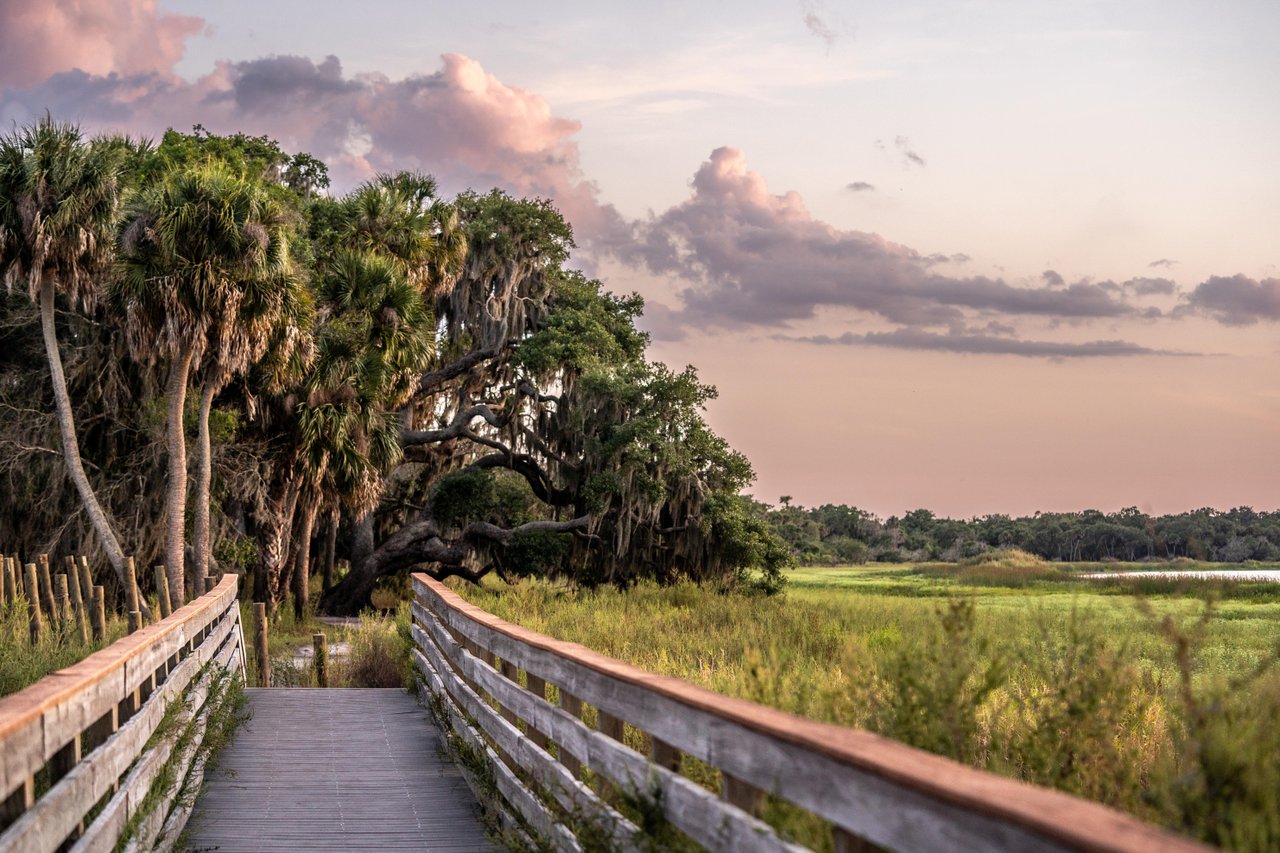 eco tour through myakka river state park