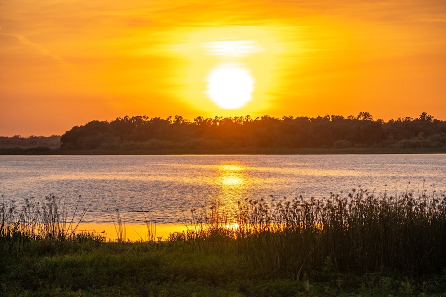 fishing in myakka river state park for snook