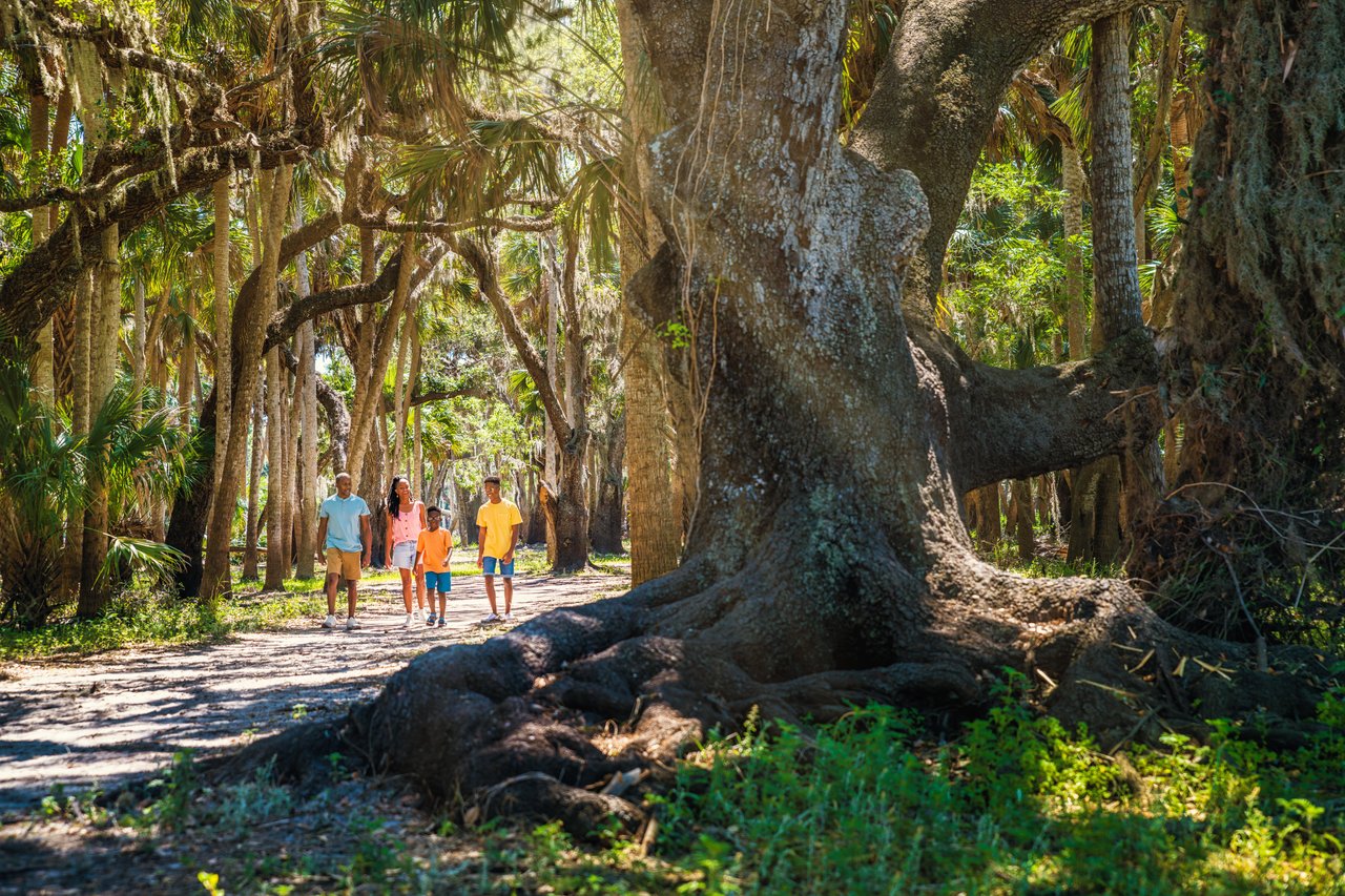 Sarasota on a Shoestring: Family Fun for Less | Visit Sarasota County