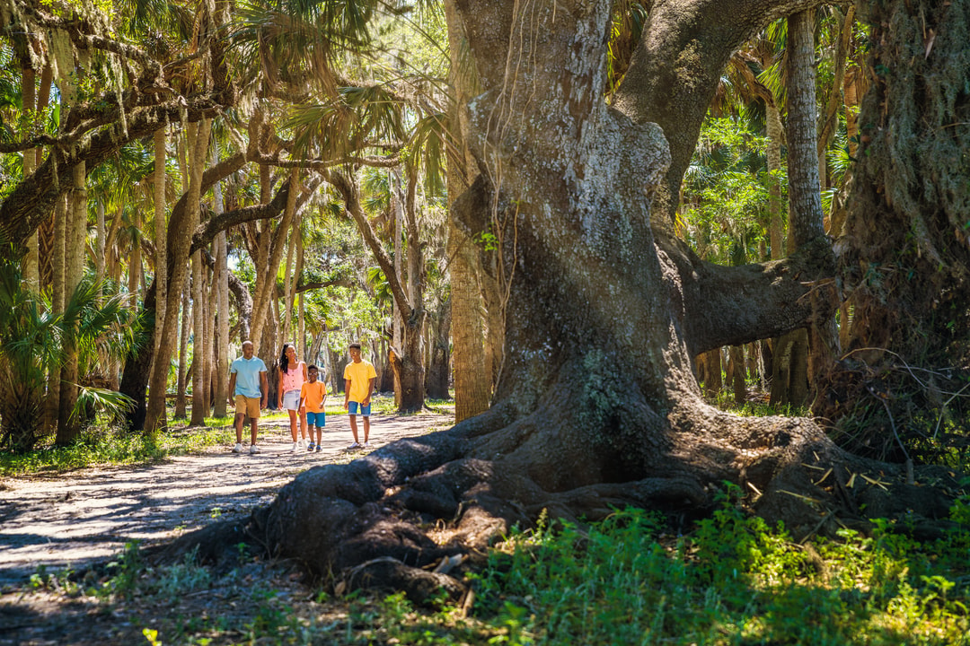 myakka river state park family