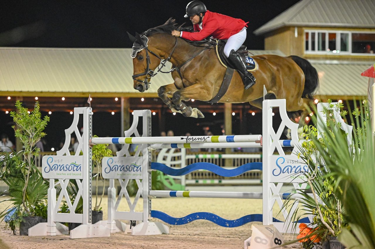 show jumping under the stars