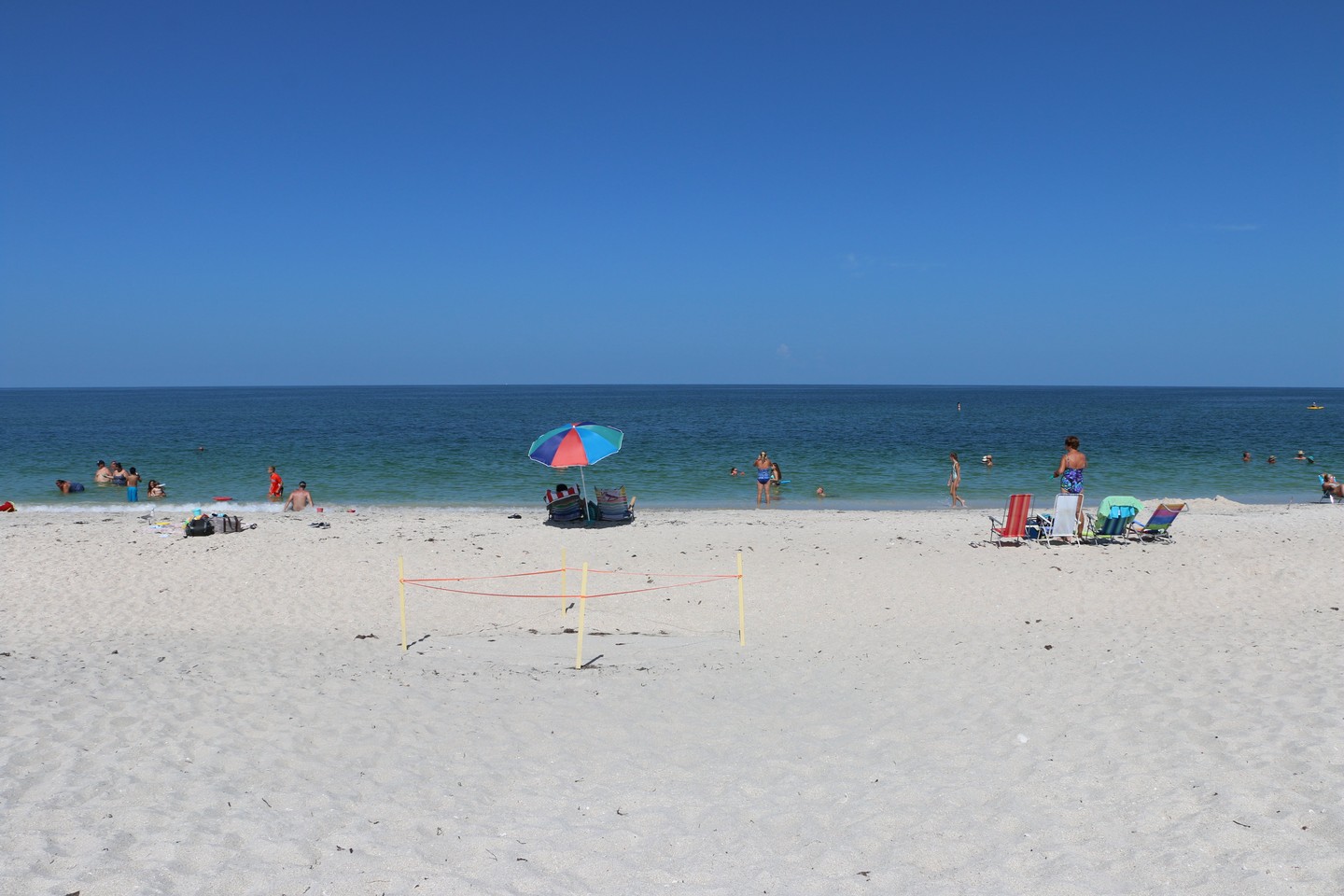 nokomis beach turtle nesting