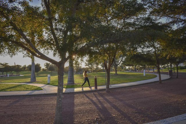 girl walking around payne park in sarasota florida