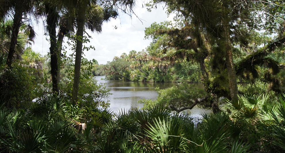 currycreekpreserve