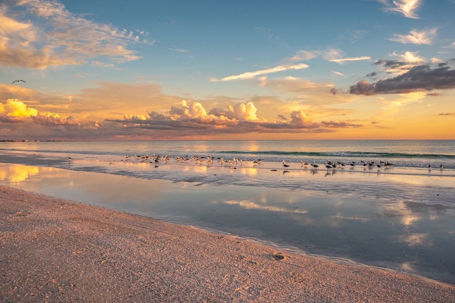 siesta key sand at sunset