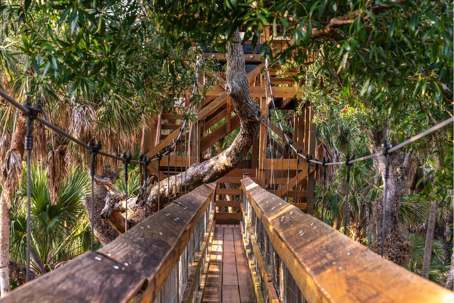 canopy walkway in myakka river state park