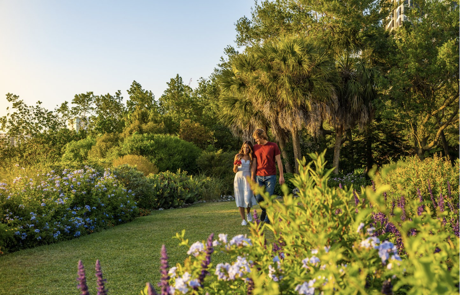 couple walking through gardens at selby gardens in sarasota