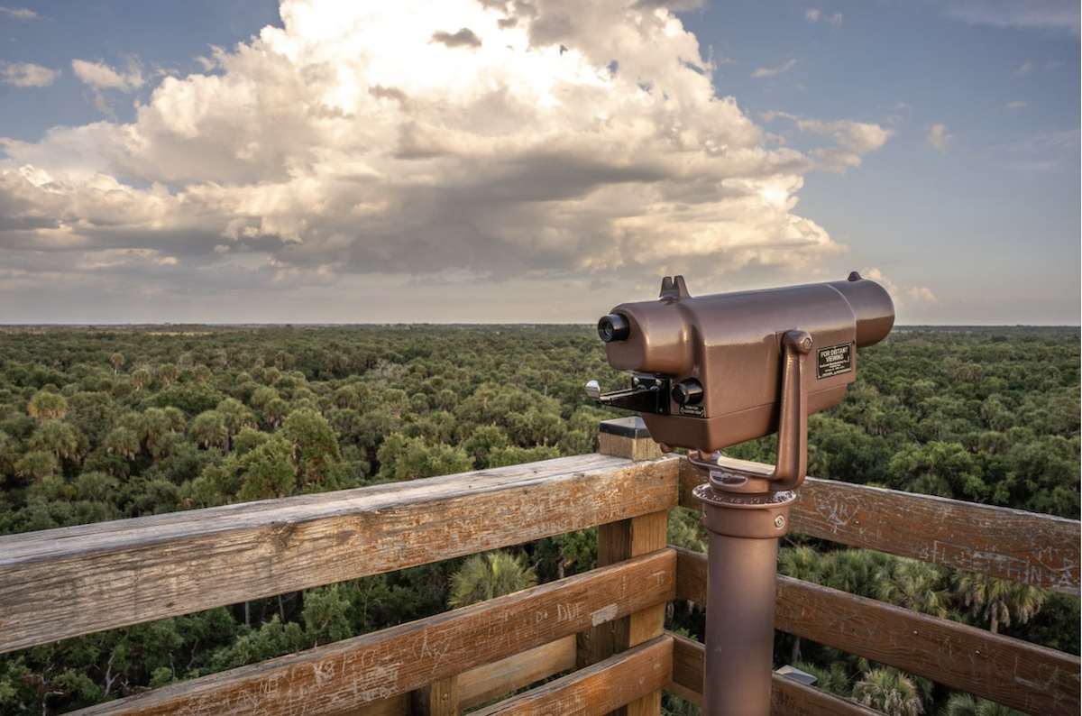 birdwatching at myakka river state park