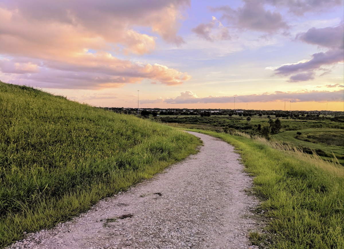 the celery fields at sunset in sarasota