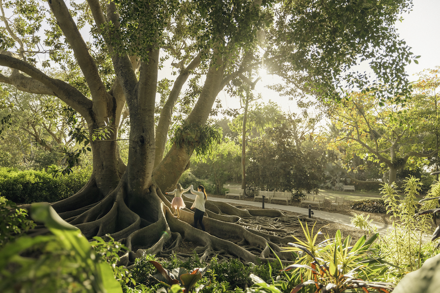 selby gardens