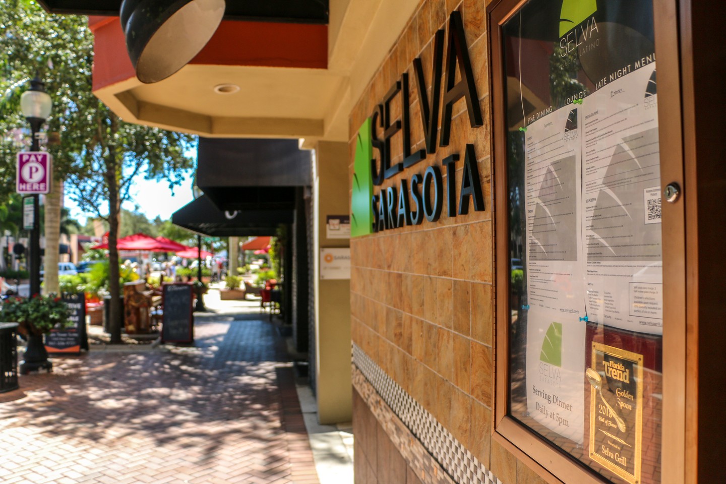 downtown sarasota's selva grill for lunch and dinner