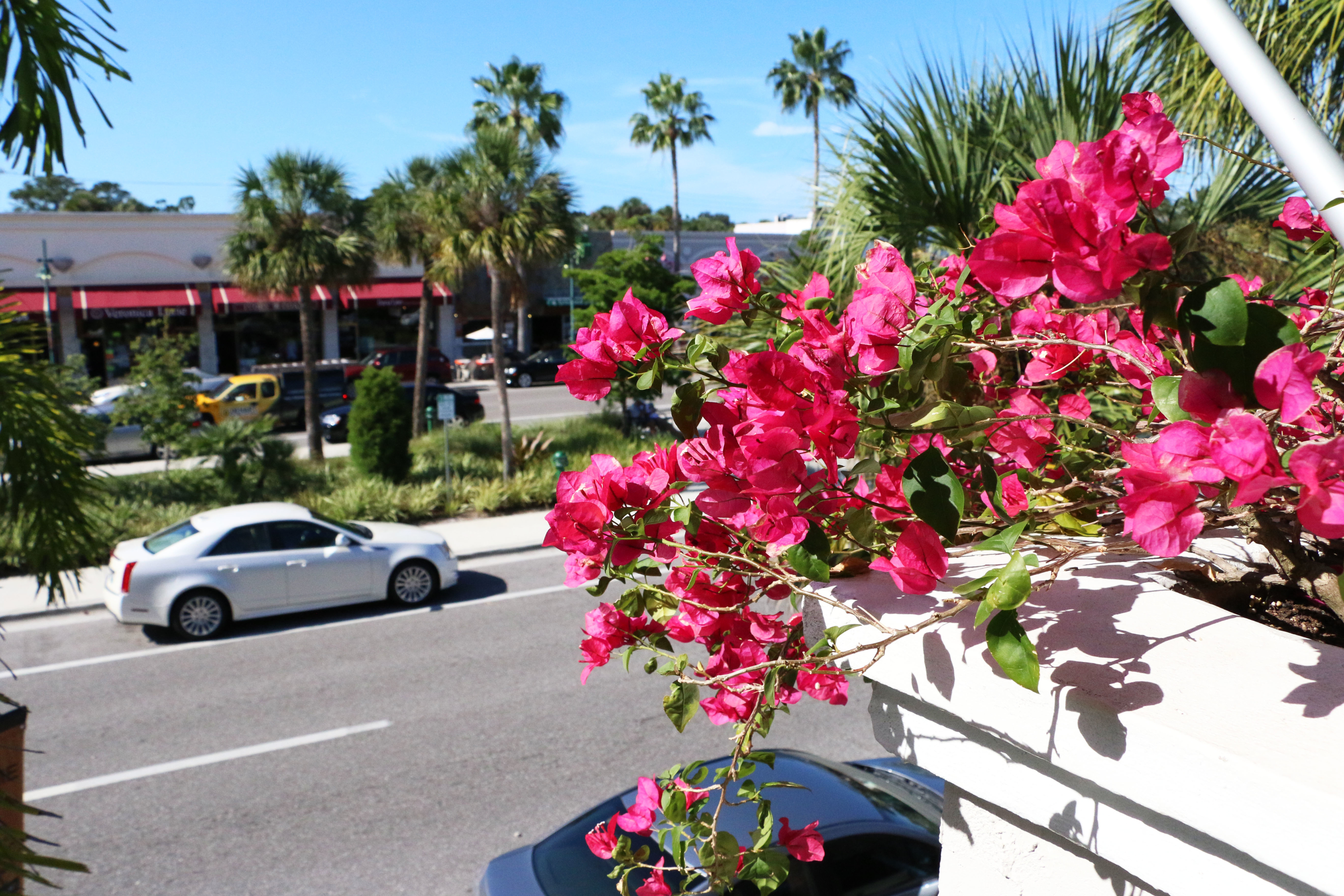 outside cafe on st armands circle in sarasota