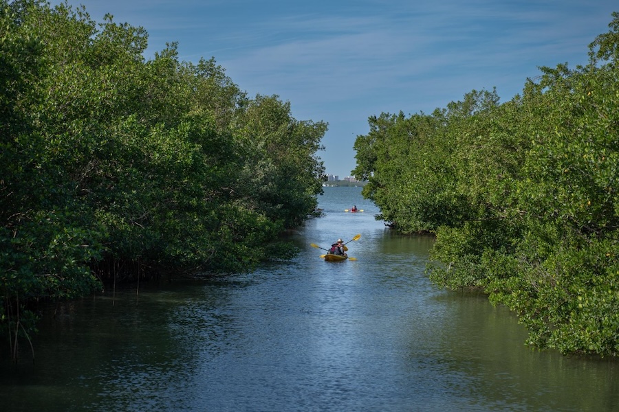 the bay park kayaking