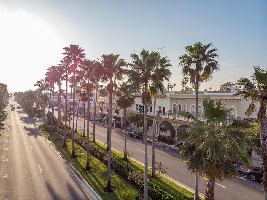 venice ave drone shot in florida with palm trees