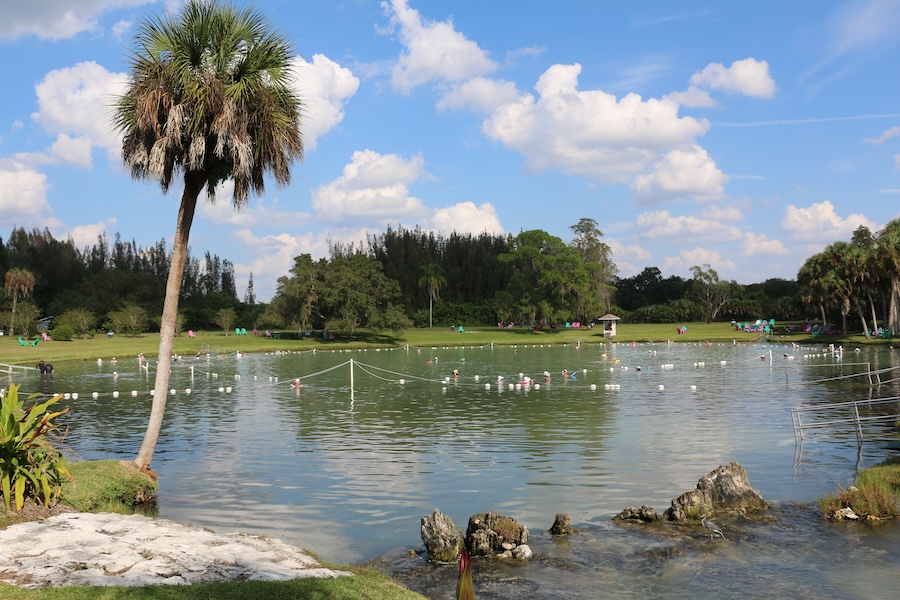 warm mineral springs people swimming in the pool