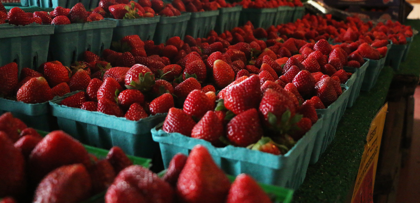 sarasota farmers market