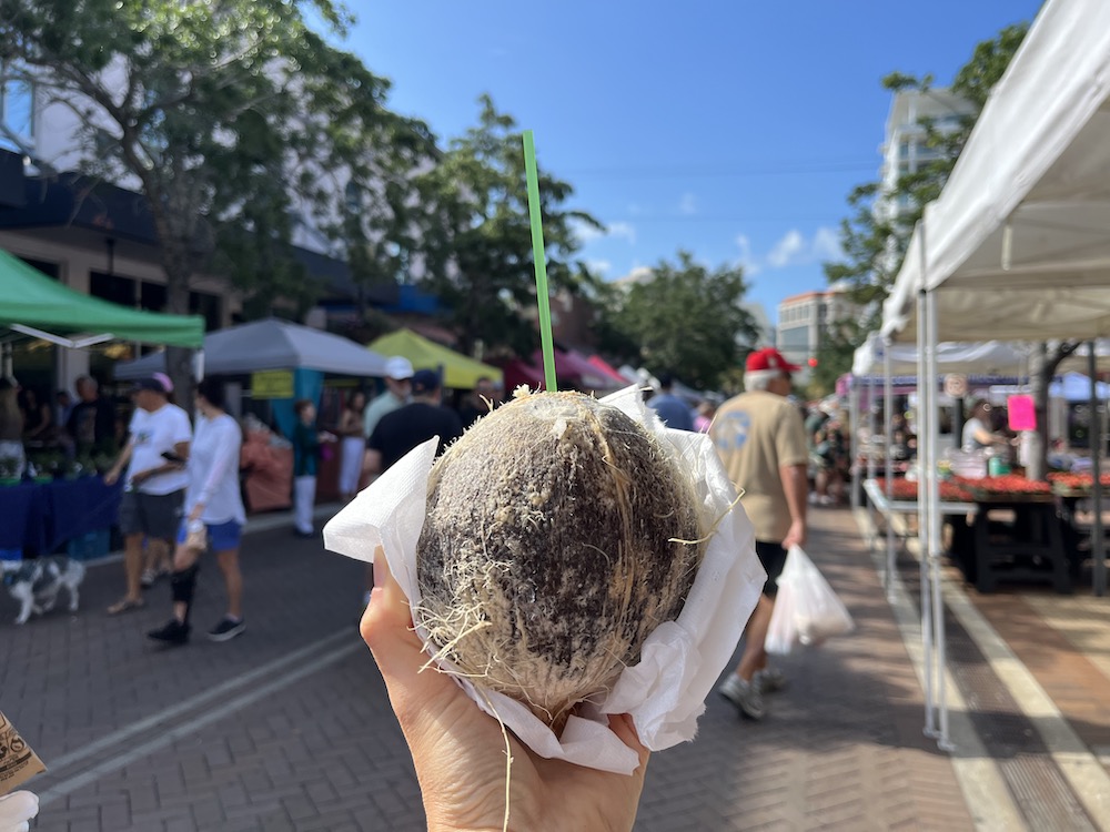 fresh coconut at farmers market