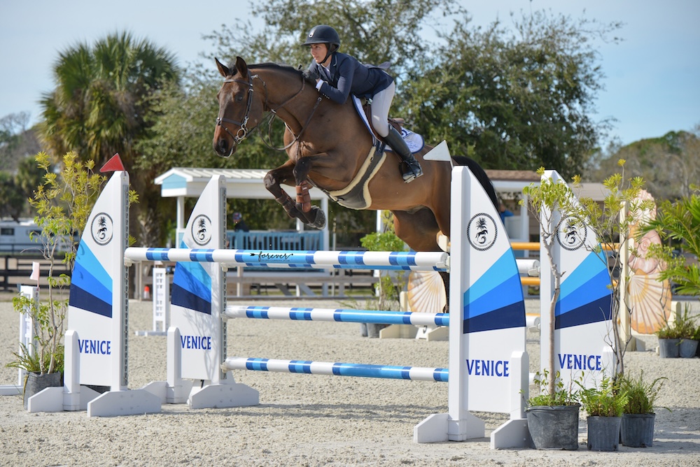 venice equestrian