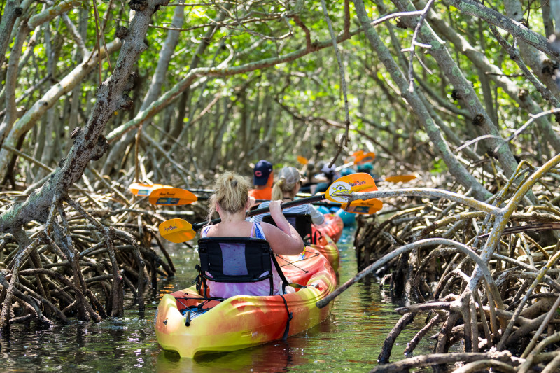 Kayaking SRQ Tours & Rentals Visit Sarasota County