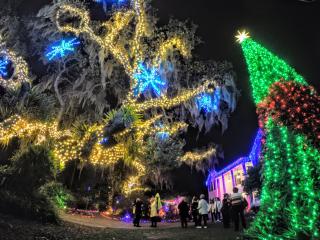 Lights in Bloom Selby Gardens 2019.JPG