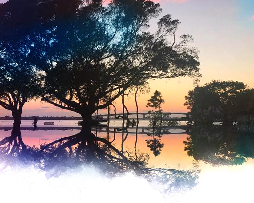 Sarasota Bayfront Watercolor