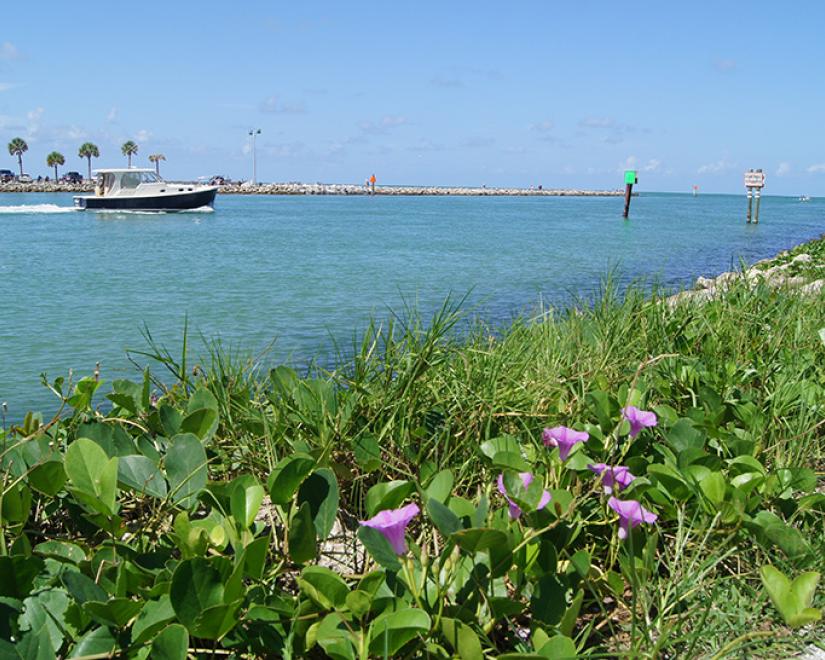 Venice Jetties