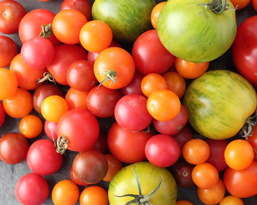 Farm to Table Hero