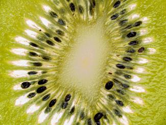 Details image of a cut kiwi