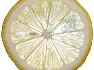 Lemon Macro