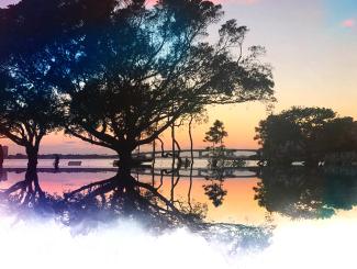 Sarasota Bayfront Watercolor