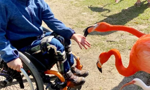 Child in wheelchair