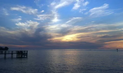 RS1256_SarasotaSunset_OPT_2.jpg RS1256_SarasotaSunset_OPT_2.jpg