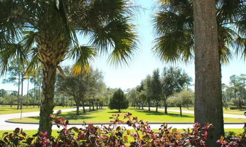 city center front green