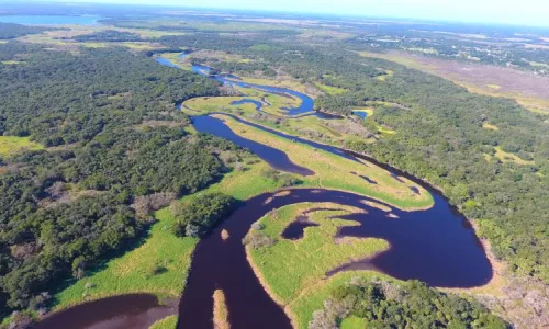 myakka state forest