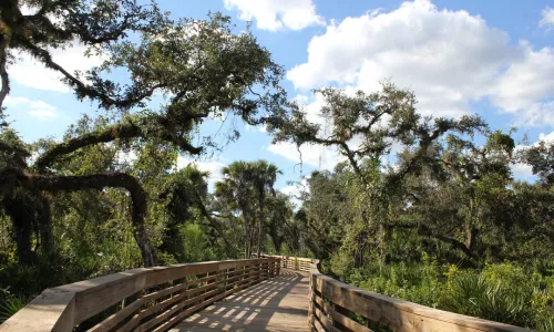 myakkahatchee_creek_greenway