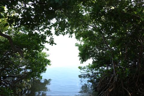Englewood Florida - Things to Do & Attractions | Visit Sarasota County