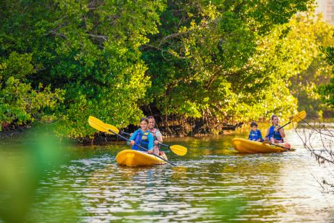 Guide to Free Activities & Events in Sarasota's Outdoor Spaces