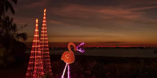 Light up trees and flamingos by water. in late evening