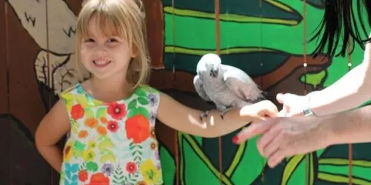 Girl holding a bird at jungle gardens