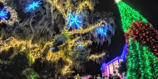 Lights in Bloom Selby Gardens 2019.JPG