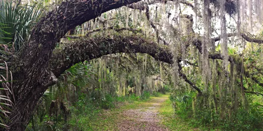 Myakka State Park030612_001_0.jpg