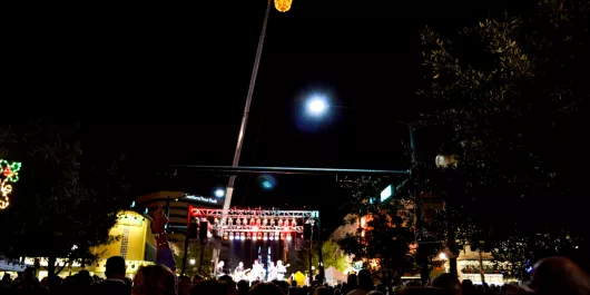 PineappleDrop_NewYear_Sarasota_NormanSchimmel_rgb_hd (1).jpg PineappleDrop_NewYear_Sarasota_NormanSchimmel_rgb_hd (1).jpg