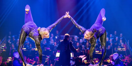 Circus Arts